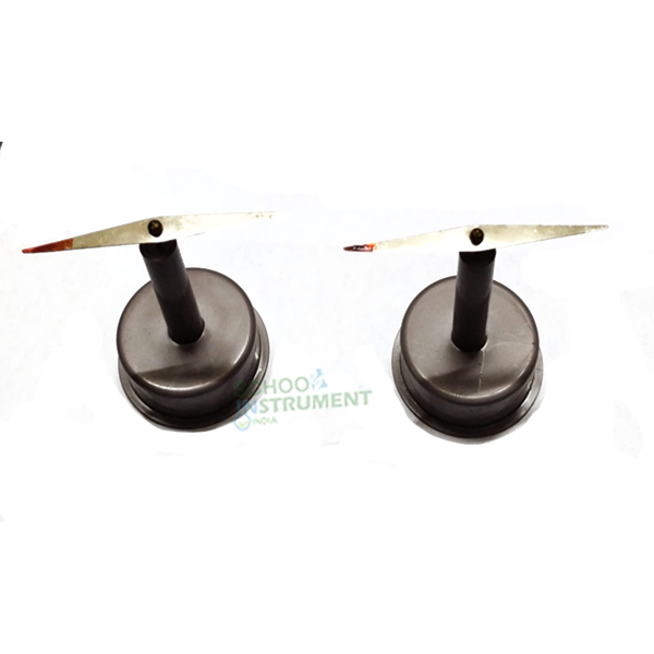 Pair of Magnetic Needles